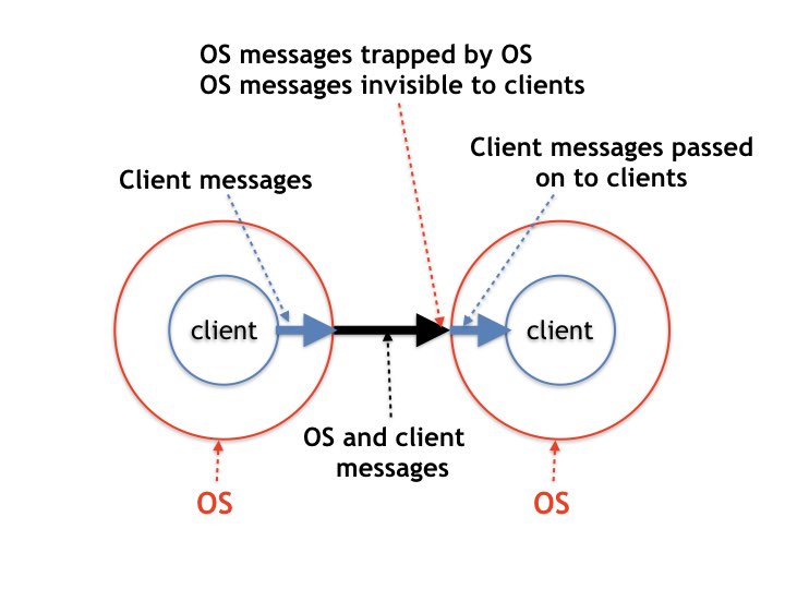 Fig1